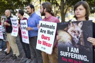 PETA’s politics couldn't be further left