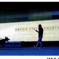 Court-appointed lawyers face shutdown fallout