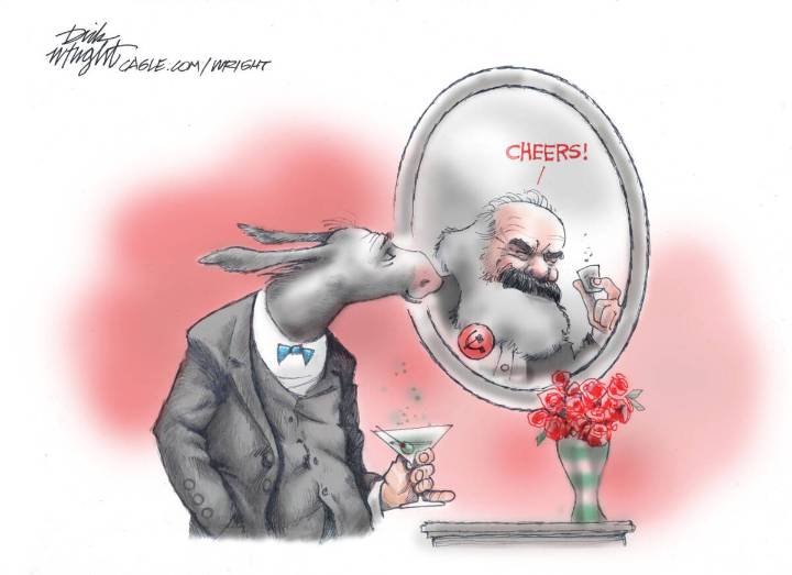 CARTOONS: What Democrats see when they look in the mirror