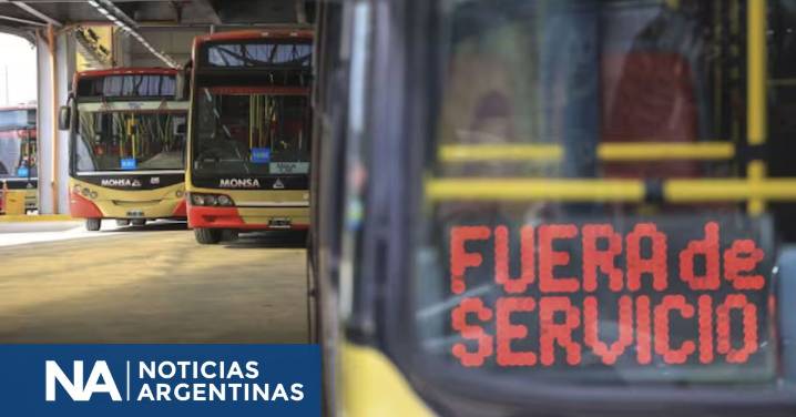 Paro por tiempo indeterminado de colectivos: a qué líneas afecta