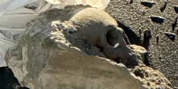 Eerie discovery in Boston’s Seaport: human skull unearthed from concrete slab