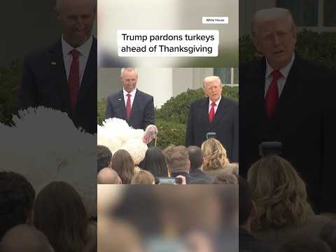 Trump pardons turkeys ahead of Thanksgiving