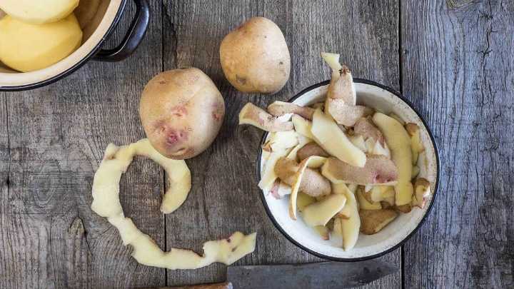 Colocar cáscaras de papa en la tierra: por qué lo recomiendan y para qué sirve