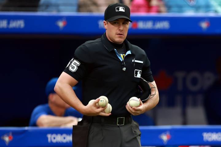 25 Facts About Jordan Baker (Umpire)