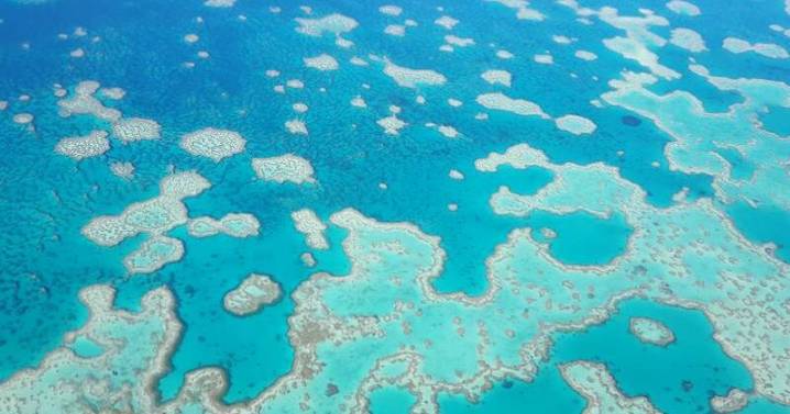 Legal loopholes threaten reef, ex-Treasury boss warns