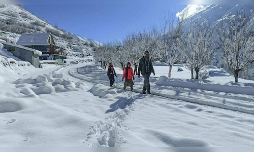 Fresh snowfall blankets Himachal, Kashmir as first snow leopard sighting reported in Kinnaur