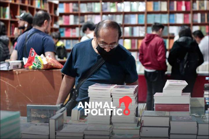 8 de cada 10 personas alfabetas se declararon lectoras en 2025; libros, el material más leído: Inegi