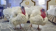 President Trump set to pardon Gobble and Waddle for annual turkey pardon
