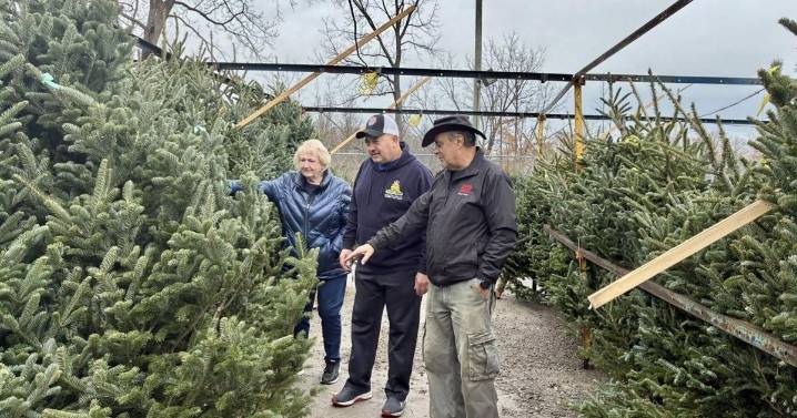 Niagara Falls Lions Club launches annual Christmas tree campaign