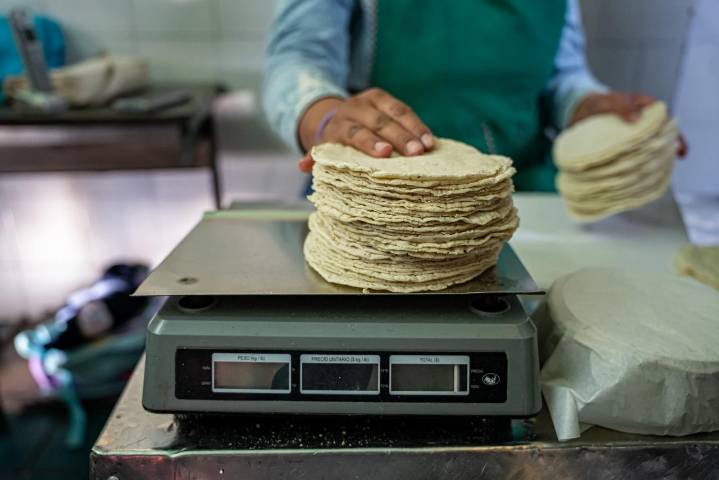 ¡Aún hay tortillas para rato! Tortillerías siguen operando con normalidad pese a protestas y bloqueos