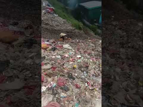 Blasts at Jakarta School Mosque Leave Dozens Injured #shorts