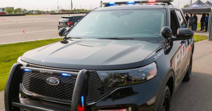 Man in custody after allegedly wielding machete in Walgreens robbery