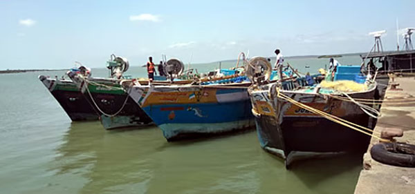 35 Tamil Nadu fishermen arrested by Sri Lankan Navy for crossing maritime boundary