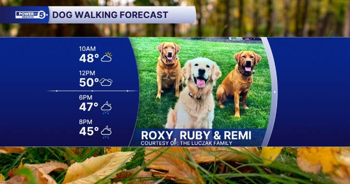 Dog walking forecast: Brief break between storms Saturday
