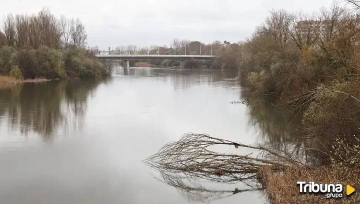 El Tormes, en nivel amarillo en el punto de control de Hoyos del Espino por las lluvias