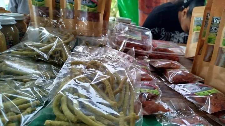 Salamanca busca colocar su nopal en mesas y comedores escolares de Japón