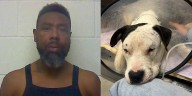Five more dogs found in Craven County animal cruelty suspect’s home, violating court order