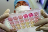 Islas de la inmortalidad, cámaras frigoríficas y extractos de semillas para conseguir la vida eterna en China: "Dentro de 10 años nadie volverá a enfermar de cáncer"