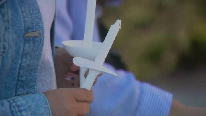 Grandfather, 3-year-old granddaughter identified as victims in Louisville UPS plane crash