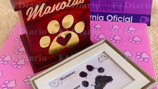 Aumenta un 40% la cremación de mascotas