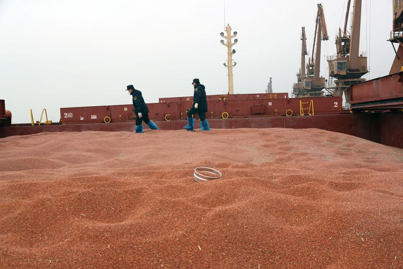 Exclusive-US sorghum shipment heads to China after Trump-Xi meeting, grains council chairman says
