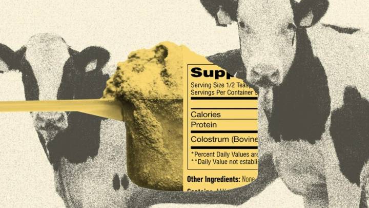 Colostrum is the latest food fad — but should you be taking it?