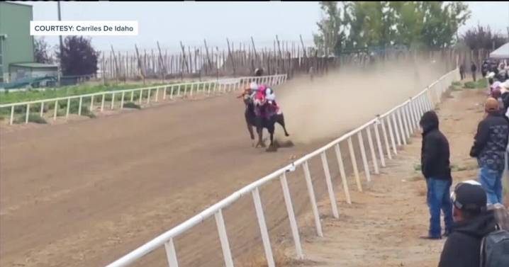 Dark and dangerous or just good fun? One of Idaho's top horse breeders breaks down Hispanic horse racing