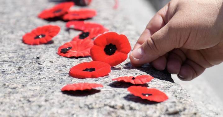 Did you have change to buy a Remembrance Day poppy?
