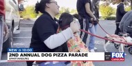2nd annual dog pizza parade in Spartanburg