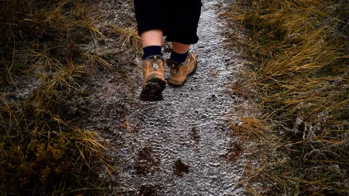 Get into Colorado state parks for free on Black Friday