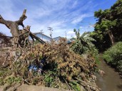 Habitantes de La Mora II alzan su voz ante la desidia
