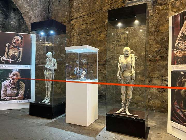 Es importante conocer cuál es el fin de hacer las momias 3D: INAH