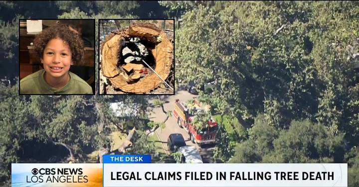 Parents sue after watching their 8-year-old son be killed by a falling tree branch at camp