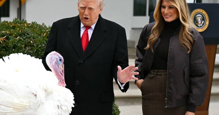 The White House's history with Thanksgiving, and how the turkey pardon came to be