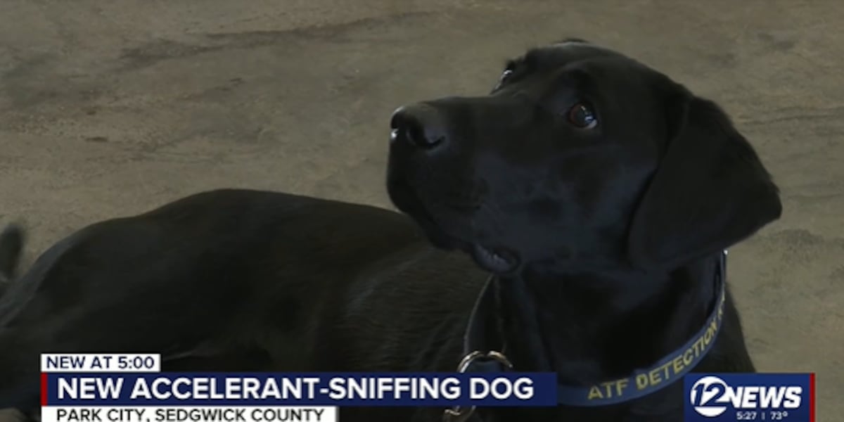 New K-9 at Sedgwick County Fire Department can detect flammable liquids