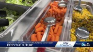 Waukee School District families have over $60,000 in negative meal account balances