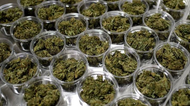 Their children depend on CBD to treat epilepsy. The government funding bill threatens to cut off their therapy