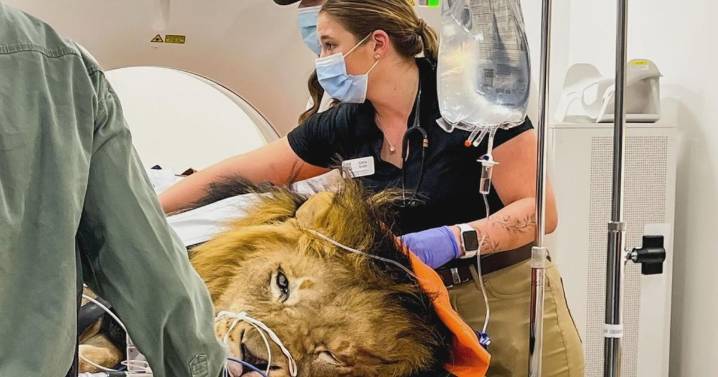 U of A vet school in Oro Valley draws national interest