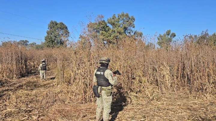 Descubren toma huachicolera en predio de cultivo abandonado