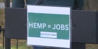 Kentucky hemp farmers and retailers protest Senator Mitch McConnell