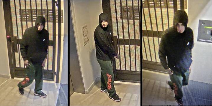 Suspect sought in San Jose vehicle burglary spree