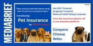 Roinet Solution launches digital campaign to boost awareness of pet insurance in India