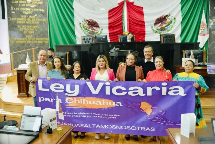 Diputada Irlanda presenta Ley Vicaria