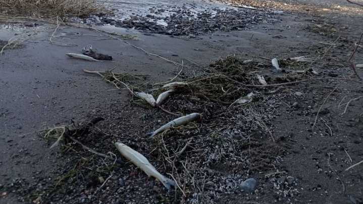 Productores y vecinos convocan a una marcha para exigir análisis del agua