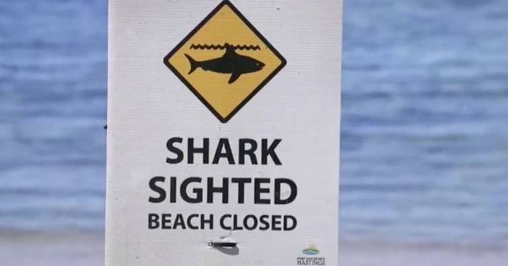 Woman killed in Sydney shark attack as man seriously injured at popular beach