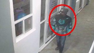 ¡Rata educada! Captan saqueo a escuela; busca policía a responsable de robo