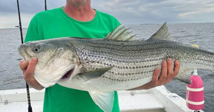 Bones found on Salisbury Beach are misidentified