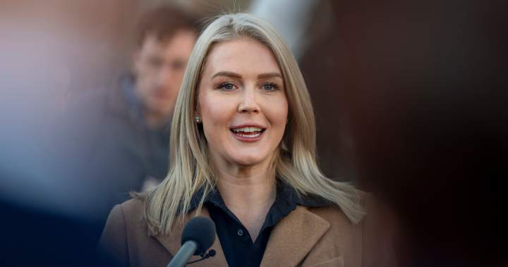 White House press secretary Karoline Leavitt’s family member detained by ICE