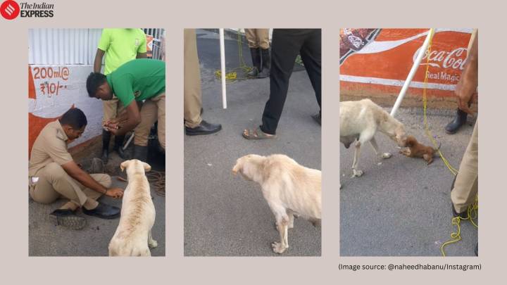 Tamil Nadu cop rescues puppy from pit as mother dog watches anxiously; the Internet calls it ‘proof humanity still exists’