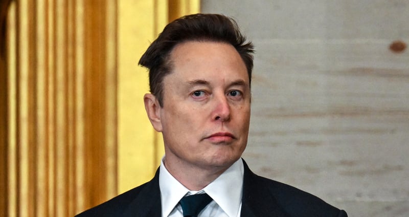 Elon Musk Gets Dragged By a Legendary Author & Now He's Calling Her a Liar